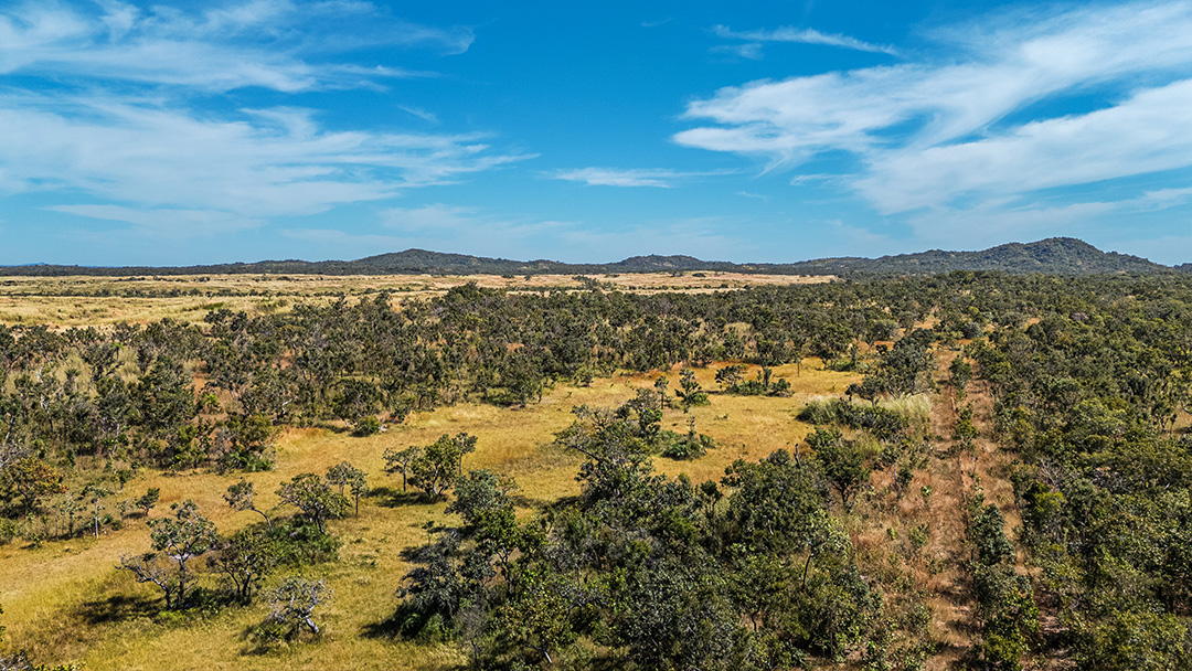 Fazenda São Filipe – TO